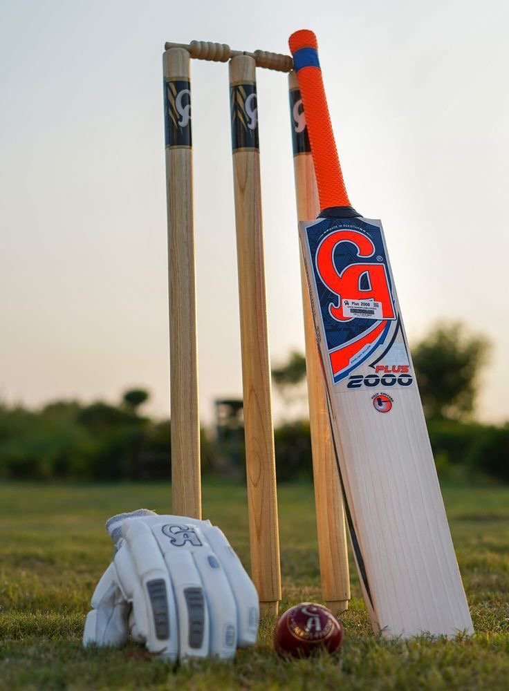Cricket